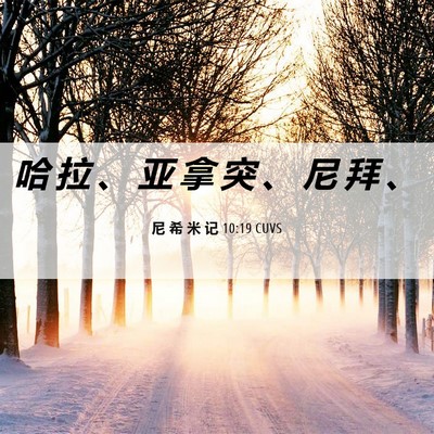 Picture 06 - 尼 希 米 记 10:19 CUVS - 哈 拉 、 亚 拿 突 、 尼 拜 - Bible Verse Picture