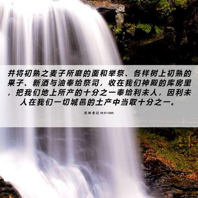 Picture 06 - 尼 希 米 记 10:37 CUVS - 并 将 初 熟 之 麦 子 所 磨 的 面 和 - Bible Verse Picture