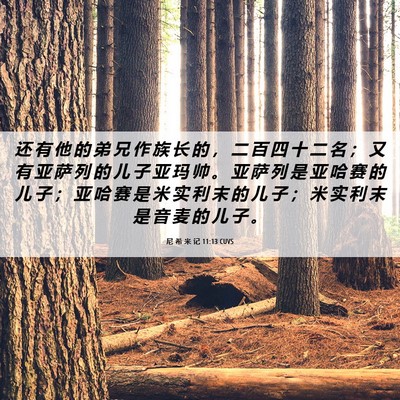 Picture 06 - 尼 希 米 记 11:13 CUVS - 还 有 他 的 弟 兄 作 族 长 的 ， 二 - Bible Verse Picture