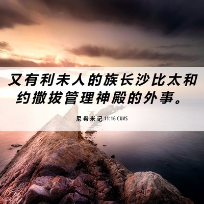 Picture 06 - 尼 希 米 记 11:16 CUVS - 又 有 利 未 人 的 族 长 沙 比 太 和 - Bible Verse Picture