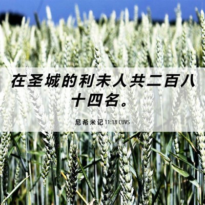 Picture 06 - 尼 希 米 记 11:18 CUVS - 在 圣 城 的 利 未 人 共 二 百 八 十 - Bible Verse Picture