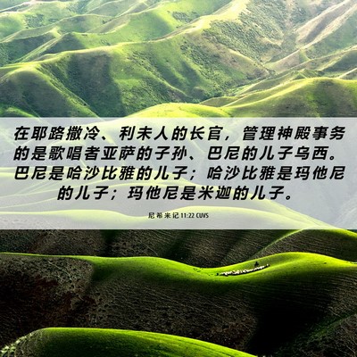 Picture 06 - 尼 希 米 记 11:22 CUVS - 在 耶 路 撒 冷 、 利 未 人 的 长 官 - Bible Verse Picture