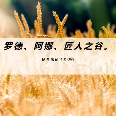 Picture 06 - 尼 希 米 记 11:35 CUVS - 罗 德 、 阿 挪 、 匠 人 之 谷 - Bible Verse Picture
