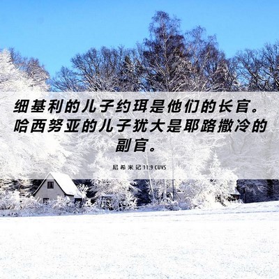 Picture 06 - 尼 希 米 记 11:9 CUVS - 细 基 利 的 儿 子 约 珥 是 他 们 的 - Bible Verse Picture