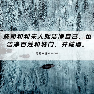 Picture 06 - 尼 希 米 记 12:30 CUVS - 祭 司 和 利 未 人 就 洁 净 自 己 ， - Bible Verse Picture