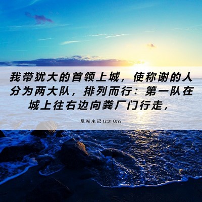 Picture 06 - 尼 希 米 记 12:31 CUVS - 我 带 犹 大 的 首 领 上 城 ， 使 称 - Bible Verse Picture