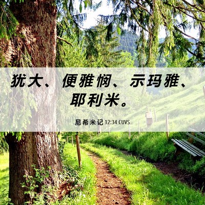 Picture 06 - 尼 希 米 记 12:34 CUVS - 犹 大 、 便 雅 悯 、 示 玛 雅 、 耶 - Bible Verse Picture