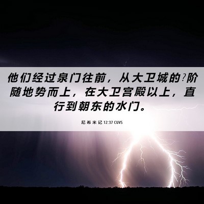 Picture 06 - 尼 希 米 记 12:37 CUVS - 他 们 经 过 泉 门 往 前 ， 从 大 卫 - Bible Verse Picture