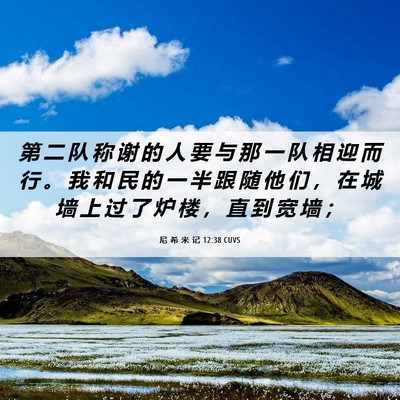 Picture 06 - 尼 希 米 记 12:38 CUVS - 第 二 队 称 谢 的 人 要 与 那 一 队 - Bible Verse Picture