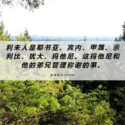 Picture 06 - 尼 希 米 记 12:8 CUVS - 利 未 人 是 耶 书 亚 、 宾 内 、 甲 - Bible Verse Picture