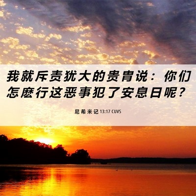 Picture 06 - 尼 希 米 记 13:17 CUVS - 我 就 斥 责 犹 大 的 贵 胄 说 ： 你 - Bible Verse Picture