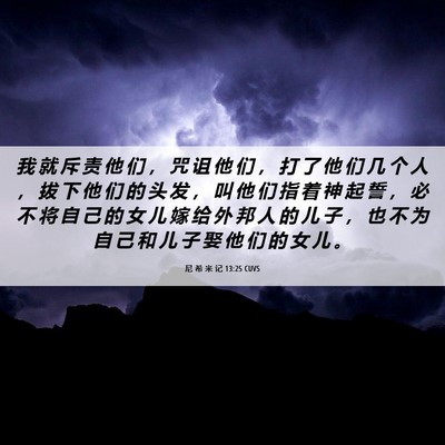 Picture 06 - 尼 希 米 记 13:25 CUVS - 我 就 斥 责 他 们 ， 咒 诅 他 们 ， - Bible Verse Picture