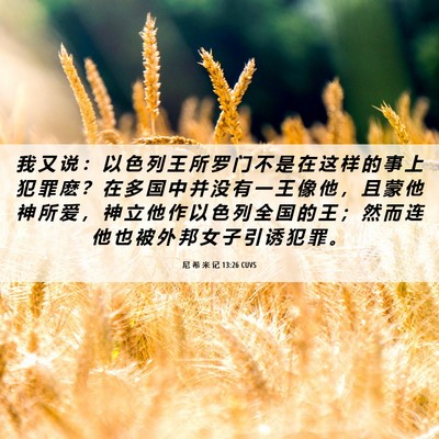 Picture 06 - 尼 希 米 记 13:26 CUVS - 我 又 说 ： 以 色 列 王 所 罗 门 不 - Bible Verse Picture