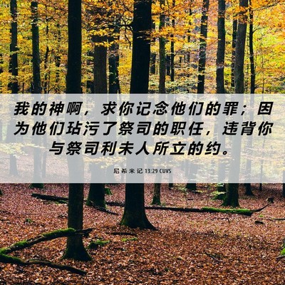 Picture 06 - 尼 希 米 记 13:29 CUVS - 我 的 神 啊 ， 求 你 记 念 他 们 的 - Bible Verse Picture