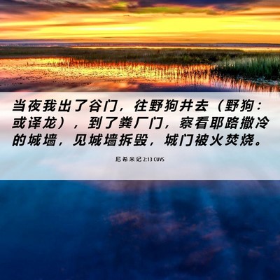 Picture 06 - 尼 希 米 记 2:13 CUVS - 当 夜 我 出 了 谷 门 ， 往 野 狗 井 - Bible Verse Picture