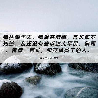 Picture 06 - 尼 希 米 记 2:16 CUVS - 我 往 哪 里 去 ， 我 做 甚 麽 事 ， - Bible Verse Picture