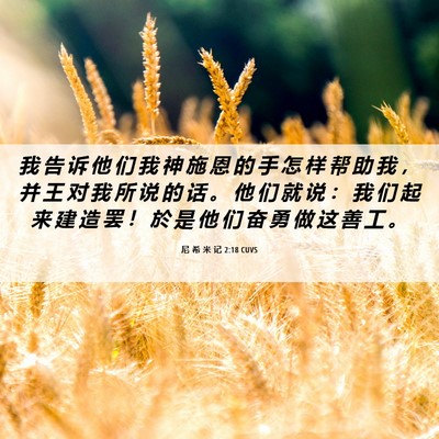 Picture 06 - 尼 希 米 记 2:18 CUVS - 我 告 诉 他 们 我 神 施 恩 的 手 怎 - Bible Verse Picture