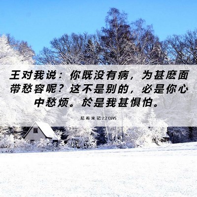 Picture 06 - 尼 希 米 记 2:2 CUVS - 王 对 我 说 ： 你 既 没 有 病 ， 为 - Bible Verse Picture