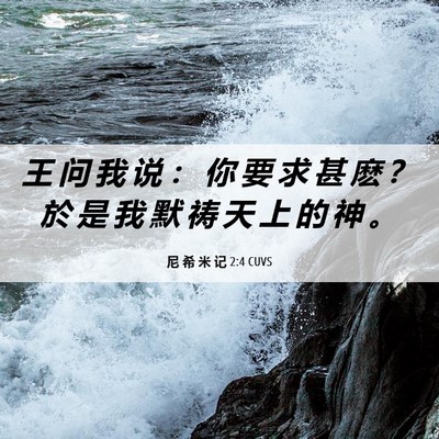 Picture 06 - 尼 希 米 记 2:4 CUVS - 王 问 我 说 ： 你 要 求 甚 麽 ？ 於 - Bible Verse Picture