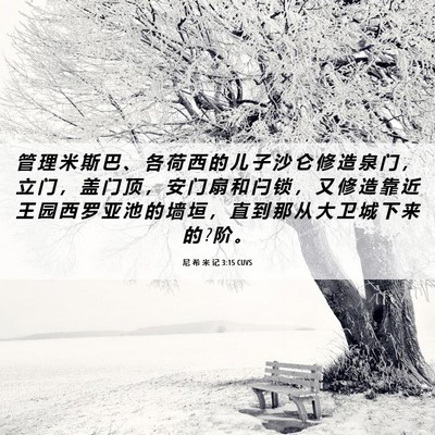 Picture 06 - 尼 希 米 记 3:15 CUVS - 管 理 米 斯 巴 、 各 荷 西 的 儿 子 - Bible Verse Picture