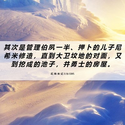 Picture 06 - 尼 希 米 记 3:16 CUVS - 其 次 是 管 理 伯 夙 一 半 、 押 卜 - Bible Verse Picture