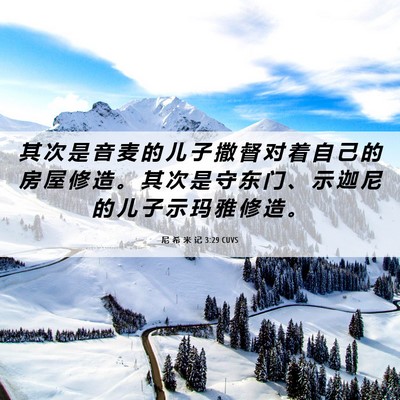 Picture 06 - 尼 希 米 记 3:29 CUVS - 其 次 是 音 麦 的 儿 子 撒 督 对 着 - Bible Verse Picture
