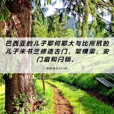 Picture 06 - 尼 希 米 记 3:6 CUVS - 巴 西 亚 的 儿 子 耶 何 耶 大 与 比 - Bible Verse Picture