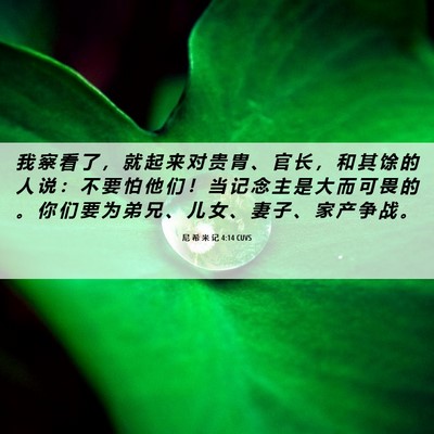 Picture 06 - 尼 希 米 记 4:14 CUVS - 我 察 看 了 ， 就 起 来 对 贵 胄 、 - Bible Verse Picture