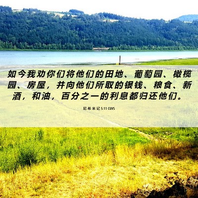 Picture 06 - 尼 希 米 记 5:11 CUVS - 如 今 我 劝 你 们 将 他 们 的 田 地 - Bible Verse Picture