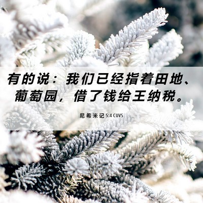 Picture 06 - 尼 希 米 记 5:4 CUVS - 有 的 说 ： 我 们 已 经 指 着 田 地 - Bible Verse Picture