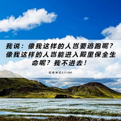 Picture 06 - 尼 希 米 记 6:11 CUVS - 我 说 ： 像 我 这 样 的 人 岂 要 逃 - Bible Verse Picture