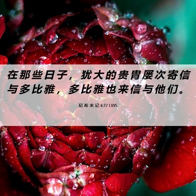 Picture 06 - 尼 希 米 记 6:17 CUVS - 在 那 些 日 子 ， 犹 大 的 贵 胄 屡 - Bible Verse Picture