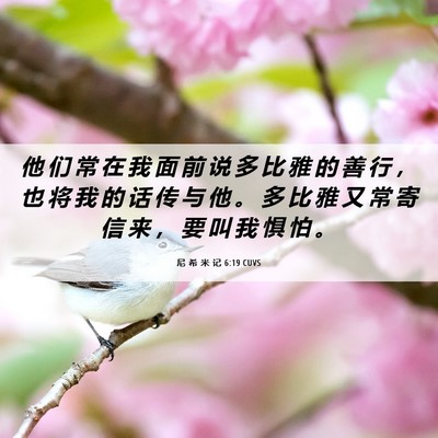 Picture 06 - 尼 希 米 记 6:19 CUVS - 他 们 常 在 我 面 前 说 多 比 雅 的 - Bible Verse Picture
