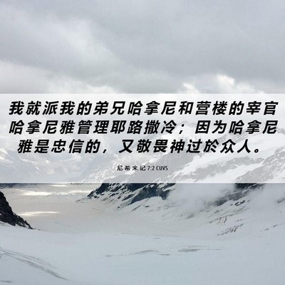 Picture 06 - 尼 希 米 记 7:2 CUVS - 我 就 派 我 的 弟 兄 哈 拿 尼 和 营 - Bible Verse Picture