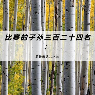 Picture 06 - 尼 希 米 记 7:23 CUVS - 比 赛 的 子 孙 三 百 二 十 四 名 - Bible Verse Picture