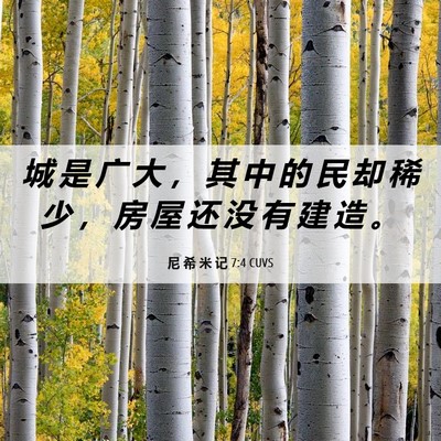 Picture 06 - 尼 希 米 记 7:4 CUVS - 城 是 广 大 ， 其 中 的 民 却 稀 少 - Bible Verse Picture