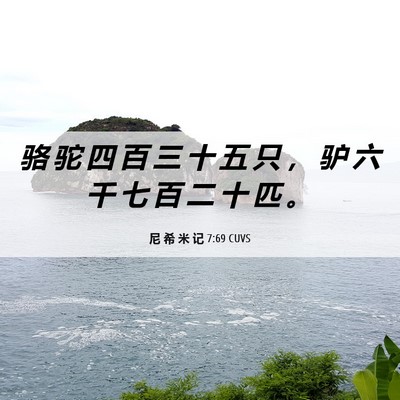 Picture 06 - 尼 希 米 记 7:69 CUVS - 骆 驼 四 百 三 十 五 只 ， 驴 六 千 - Bible Verse Picture