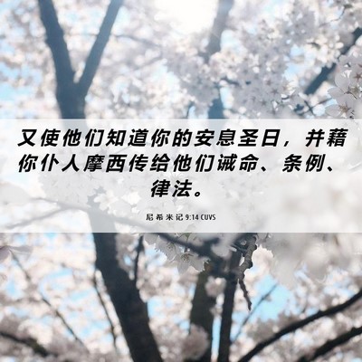 Picture 06 - 尼 希 米 记 9:14 CUVS - 又 使 他 们 知 道 你 的 安 息 圣 日 - Bible Verse Picture