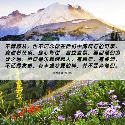Picture 06 - 尼 希 米 记 9:17 CUVS - 不 肯 顺 从 ， 也 不 记 念 你 在 他 - Bible Verse Picture
