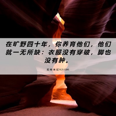 Picture 06 - 尼 希 米 记 9:21 CUVS - 在 旷 野 四 十 年 ， 你 养 育 他 们 - Bible Verse Picture