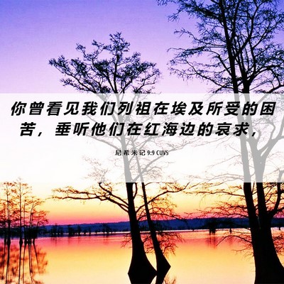 Picture 06 - 尼 希 米 记 9:9 CUVS - 你 曾 看 见 我 们 列 祖 在 埃 及 所 - Bible Verse Picture