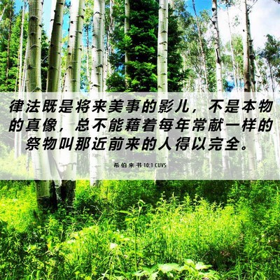 Picture 06 - 希 伯 来 书 10:1 CUVS - 律 法 既 是 将 来 美 事 的 影 儿 ， - Bible Verse Picture