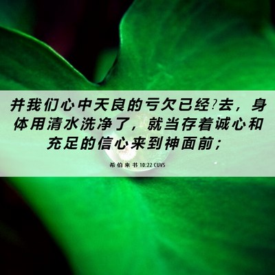 Picture 06 - 希 伯 来 书 10:22 CUVS - 并 我 们 心 中 天 良 的 亏 欠 已 经 ? - Bible Verse Picture
