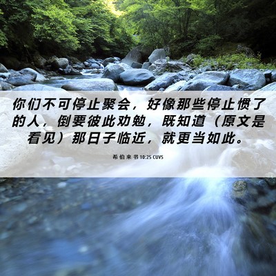 Picture 06 - 希 伯 来 书 10:25 CUVS - 你 们 不 可 停 止 聚 会 ， 好 像 那 - Bible Verse Picture