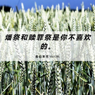 Picture 06 - 希 伯 来 书 10:6 CUVS - 燔 祭 和 赎 罪 祭 是 你 不 喜 欢 的 - Bible Verse Picture