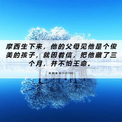 Picture 06 - 希 伯 来 书 11:23 CUVS - 摩 西 生 下 来 ， 他 的 父 母 见 他 - Bible Verse Picture