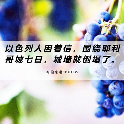 Picture 06 - 希 伯 来 书 11:30 CUVS - 以 色 列 人 因 着 信 ， 围 绕 耶 利 - Bible Verse Picture