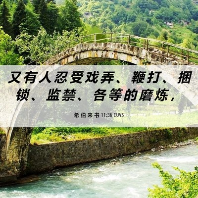 Picture 06 - 希 伯 来 书 11:36 CUVS - 又 有 人 忍 受 戏 弄 、 鞭 打 、 捆 - Bible Verse Picture