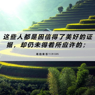 Picture 06 - 希 伯 来 书 11:39 CUVS - 这 些 人 都 是 因 信 得 了 美 好 的 - Bible Verse Picture