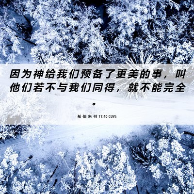 Picture 06 - 希 伯 来 书 11:40 CUVS - 因 为 神 给 我 们 预 备 了 更 美 的 - Bible Verse Picture